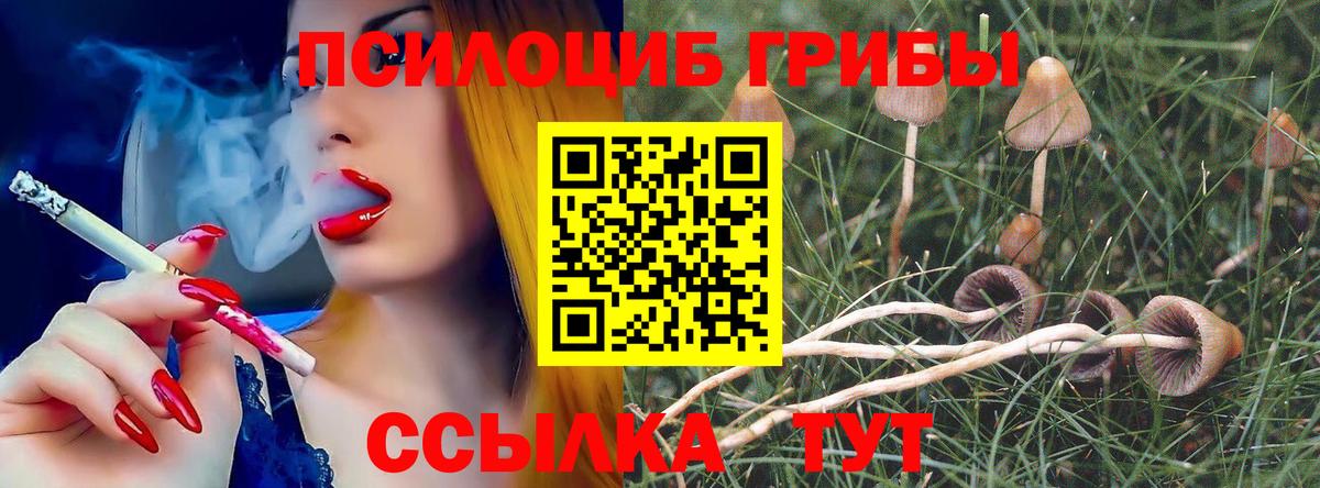 Псилоцибиновые грибы GOLDEN TEACHER  Галлюциногенные грибы MAGIC MUSHROOMS  Вход с VPN  Канаш 