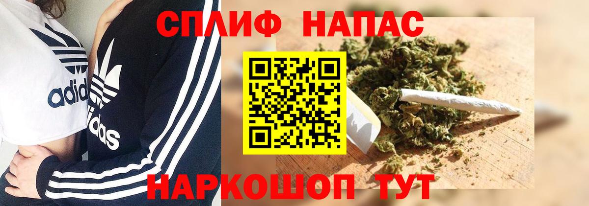 Марихуана конопля  Конопля VHQ  Вход с VPN  Марихуана White Widow  Бошки марихуана марихуана  Канаш 